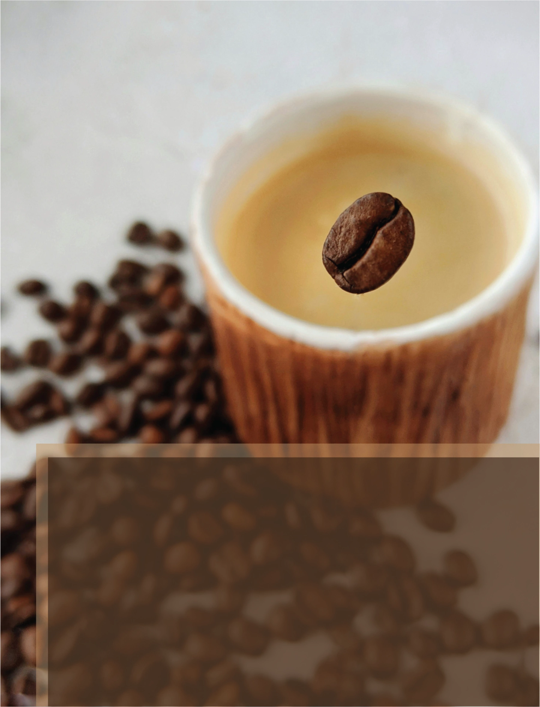 small caffe e3